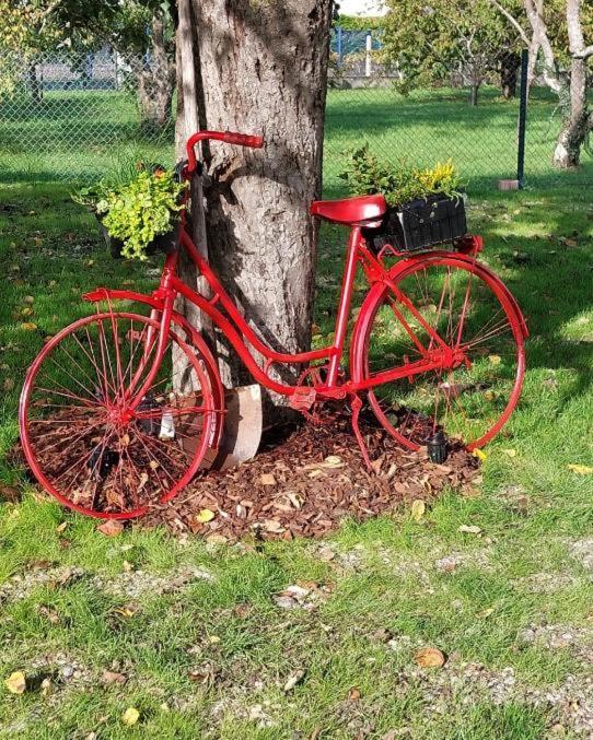 Gite Au Pommier Fleuri Et Son "Appart" Independant Drusenheim ภายนอก รูปภาพ