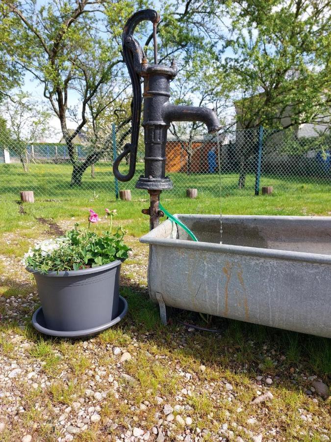 Gite Au Pommier Fleuri Et Son "Appart" Independant Drusenheim ภายนอก รูปภาพ
