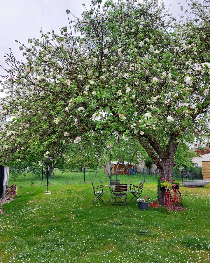 Gite Au Pommier Fleuri Et Son "Appart" Independant Drusenheim ภายนอก รูปภาพ