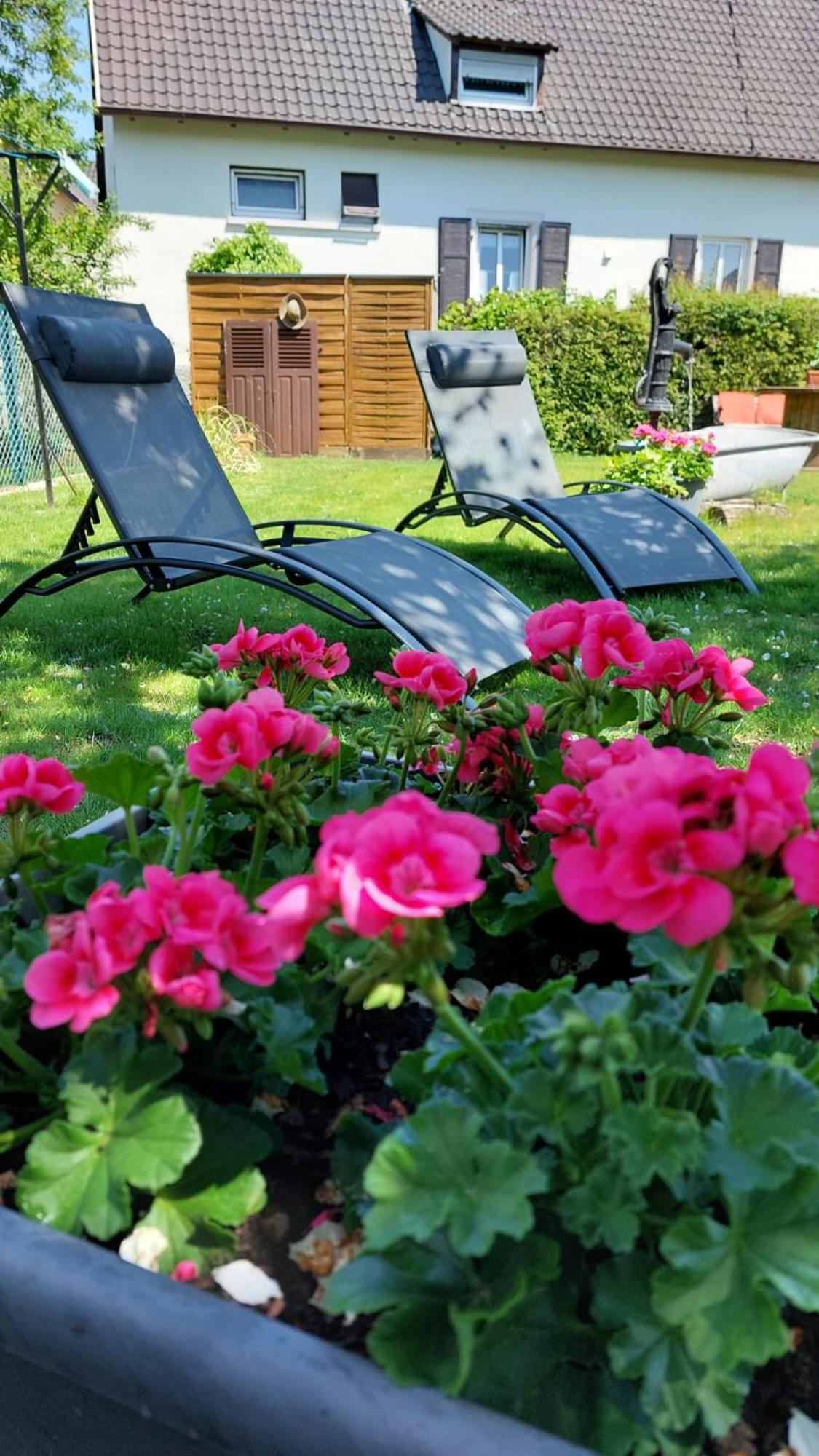 Gite Au Pommier Fleuri Et Son "Appart" Independant Drusenheim ภายนอก รูปภาพ