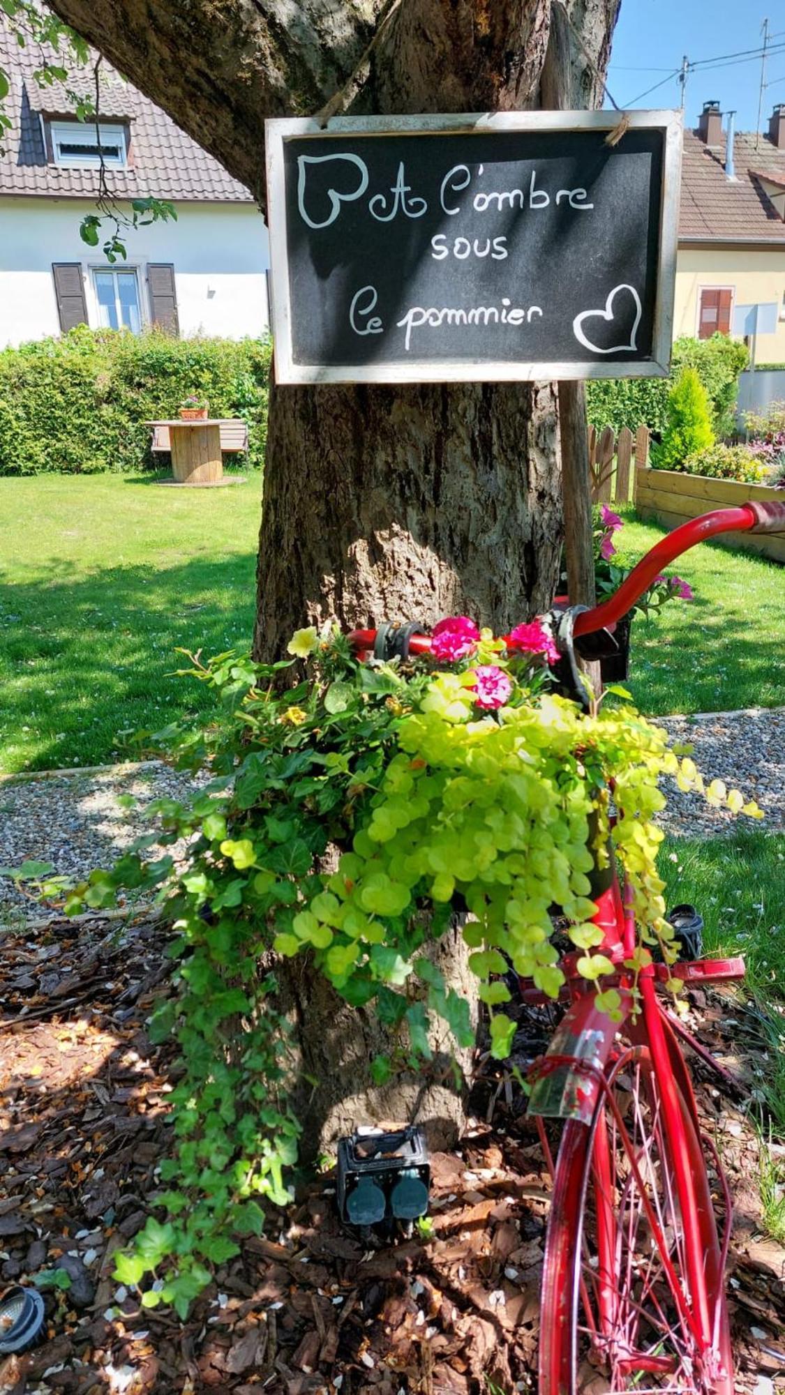 Gite Au Pommier Fleuri Et Son "Appart" Independant Drusenheim ภายนอก รูปภาพ